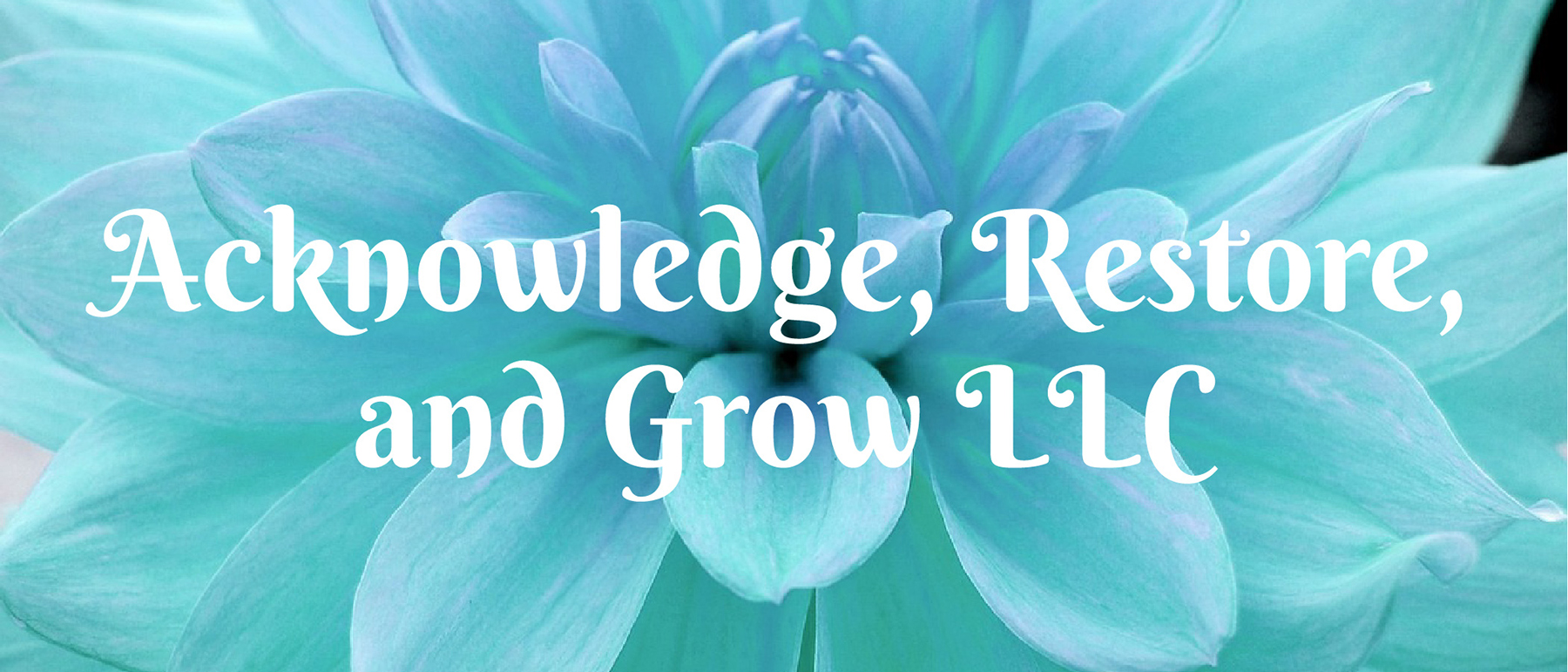 my-therapy-techniques-and-approaches-acknowledge-restore-and-grow-llc